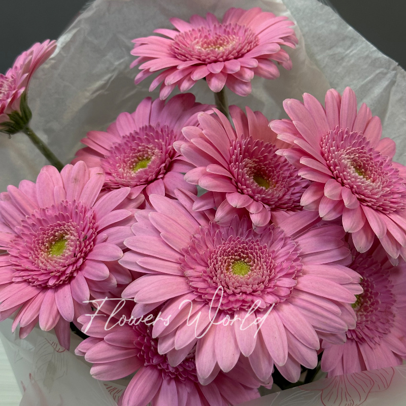 Монобукет «Красота в простоте » 1