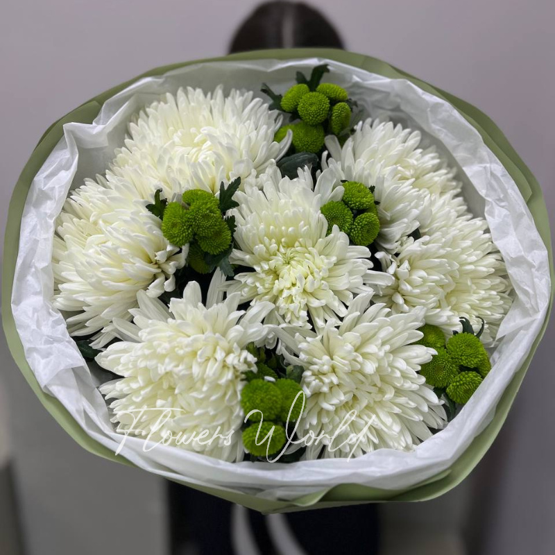 Хризантемовый бриз