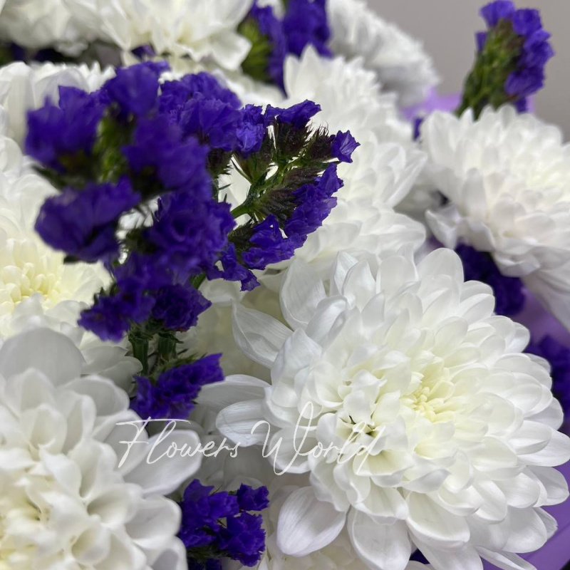 Лунный вальс 1