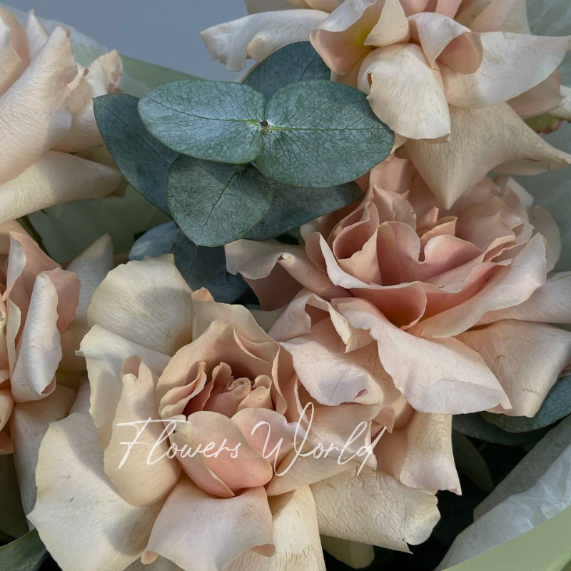 МоноБукет &laquo;5 французских роз&raquo;  1