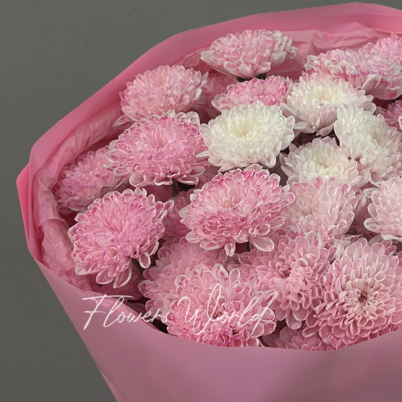 Моно &laquo;Клубничный&raquo; 1