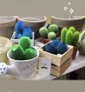 Кактусы микс цветов