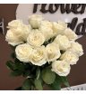 Из 17 белоснежных, пионовидных роз Плая бланка