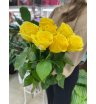 Роза солнечная