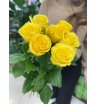 Роза солнечная 1