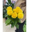 Роза солнечная 2