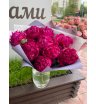 Монобукет «Винный» 1