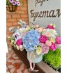 В облаках 1