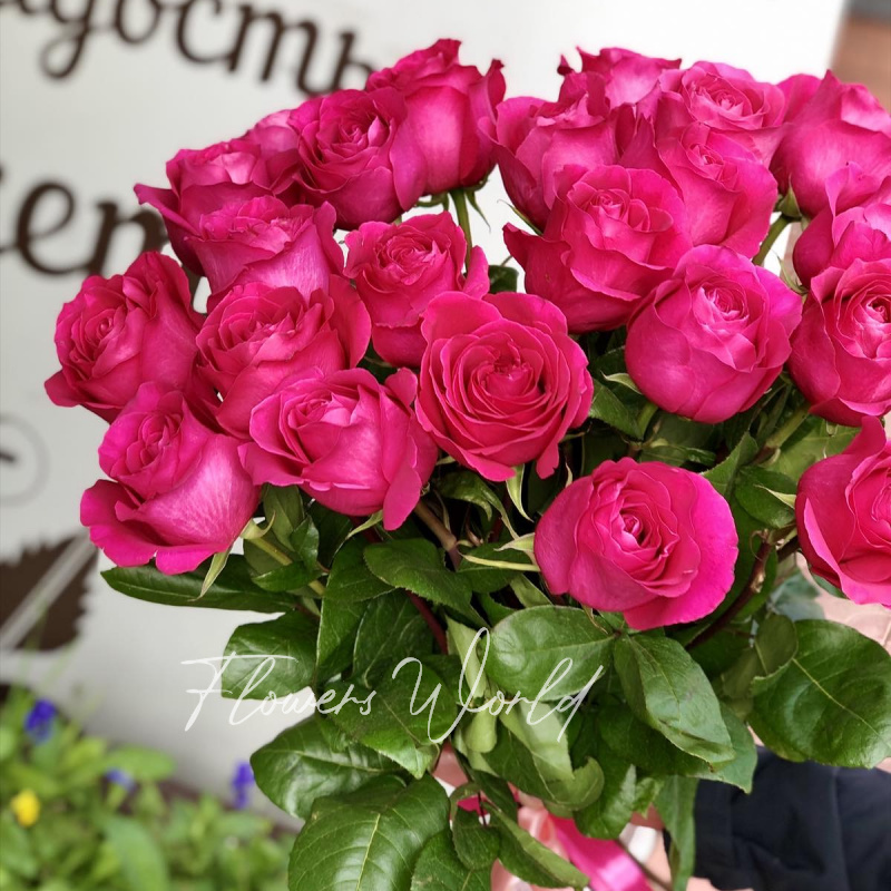 Монобукет «Самой любимой( из 25 розовых ароматных роз)»